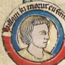 William IX, Count of Poitiers
