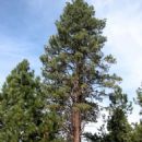 Landforms of Siskiyou County, California