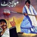 Punjabi films remade in other languages