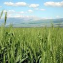 Hula Valley