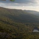 Forests of Alabama