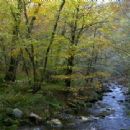 Special Areas of Conservation