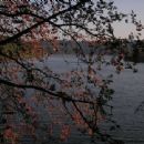 Reservoirs in the Eifel