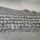 Artillery units and formations