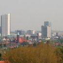 Organisations based in Eindhoven