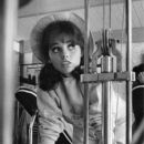 Dawn Wells - 402 x 593