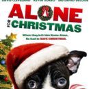Alone for Christmas