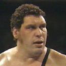 AndrÃ© the Giant - 320 x 240