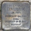 Eva Mamlok