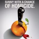 Law enforcement in Florida in fiction