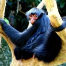 Biosphere reserves of Bolivia