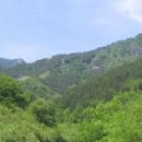 Čvrsnica