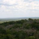 Flora of Tabasco