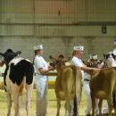 Fairs in Canada