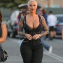 Amber Rose and Sebastian Attend Chicago's Concert at The Forum in Los Angeles, California - June 10, 2017