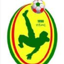 Association football leagues in Africa by level