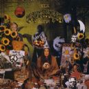 Neil's Heavy Concept Album - Nigel Planer