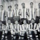 1931 in South American football leagues