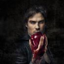 The Vampire Diaries (2009) - 454 x 618