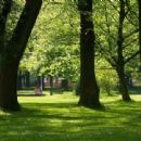 Parks and commons in Manchester