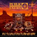 What You Gonna Do When the Grid Goes Down? - Public Enemy