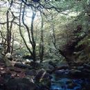 Canyons and gorges of England