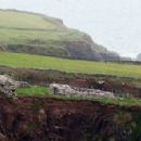 Buildings and structures in Ireland