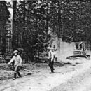 1970s wildfires