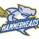 2020 establishments in Connecticut