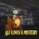 Alf Loves a Mystery