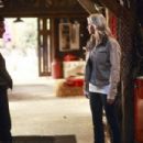 Smallville Season 7, Episode 15 - Veritas - 454 x 302