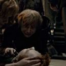 Harry Potter and the Deathly Hallows: Part 2 - Rupert Grint - 454 x 193