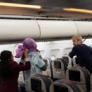 Fight or Flight (2025)