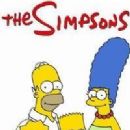 Television series created by Matt Groening