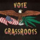 Cannabis politics in the United States