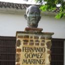 Fernando Gómez Martínez