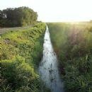 Tisza basin