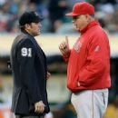Mike Scioscia