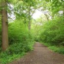 Hampstead Garden Suburb