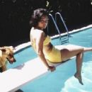 Dawn Wells - 454 x 452