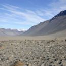 Oases by continent