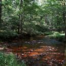 Rivers of Morgan County, West Virginia