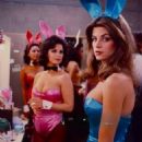 A Bunny's Tale