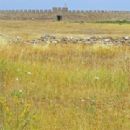 Plains of Sweden