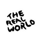 The Real World (TV series)