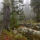 Nature reserves in Russia