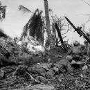 1944 in the Marshall Islands