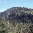 Mountains of Tennessee