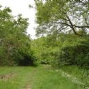 Earls Colne