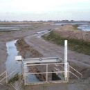 Constructed wetlands
